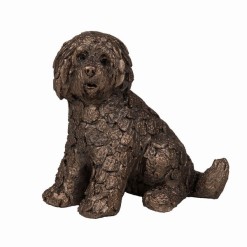 Shorty Labradoodle-Sitting-Small
